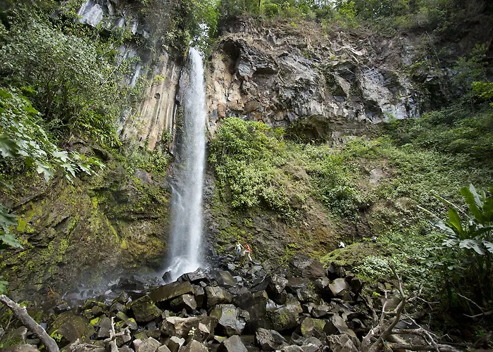 Buena Vista Del Rincon Eco Adventure Park, & Hotel 3*