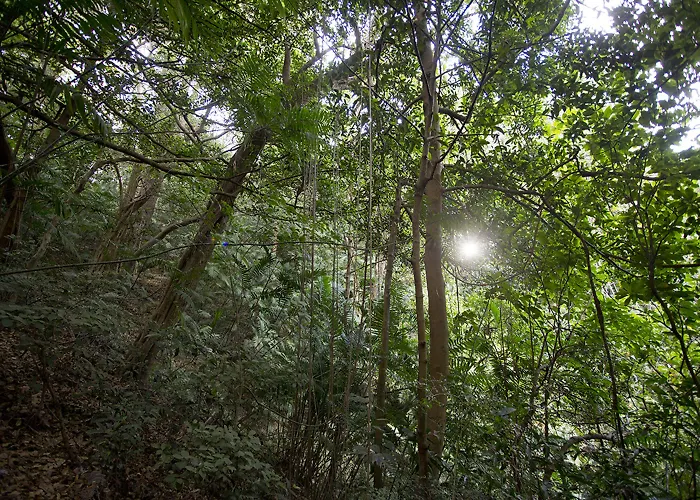 Buena Vista Del Rincon Eco Adventure Park, &