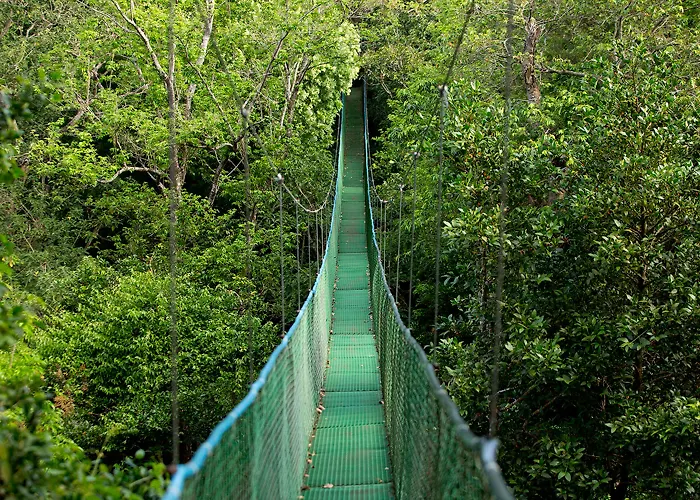 Buena Vista Del Rincon Eco Adventure Park, & 3* Curubande