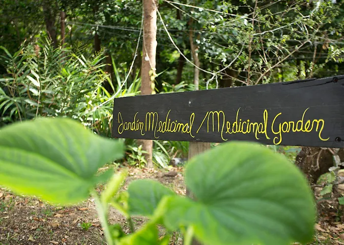 Hotel Buena Vista Del Rincon Eco Adventure Park, &