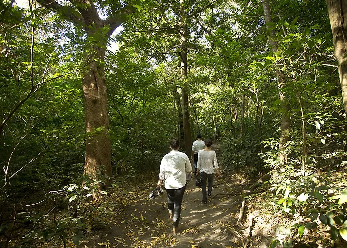 Buena Vista Del Rincon Eco Adventure Park, & Hotel
