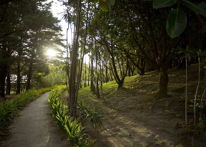 Buena Vista Del Rincon Eco Adventure Park, & Curubande