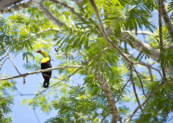 Buena Vista Del Rincon Eco Adventure Park, &