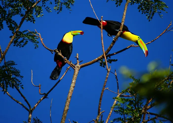 Buena Vista Del Rincon Eco Adventure Park, & Hotel 3*