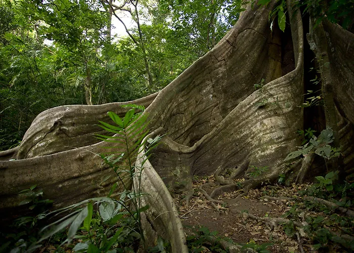 Buena Vista Del Rincon Eco Adventure Park, & Hotel Curubande