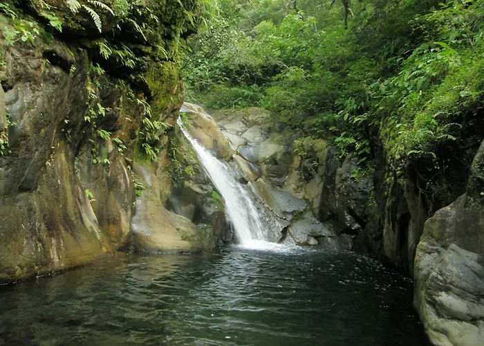 Buena Vista Del Rincon Eco Adventure Park, & Curubande