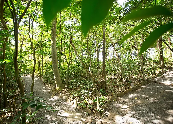 Buena Vista Del Rincon Eco Adventure Park, & 3*