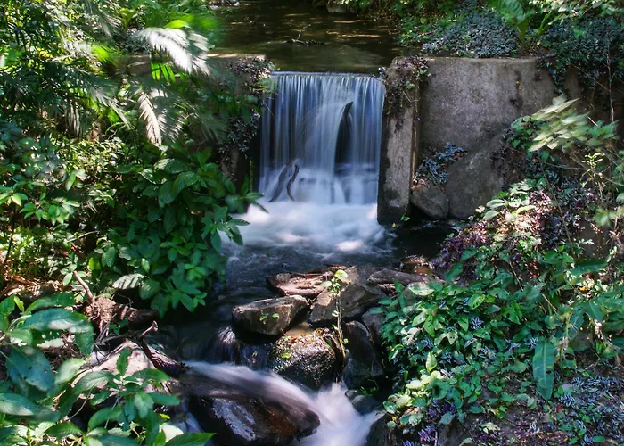 Buena Vista Del Rincon Eco Adventure Park, & 3* Curubande
