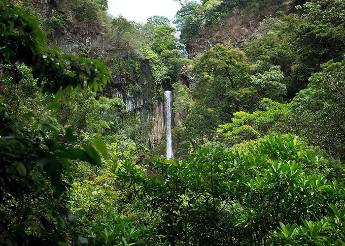 Hotel Buena Vista Del Rincon Eco Adventure Park, & 3*
