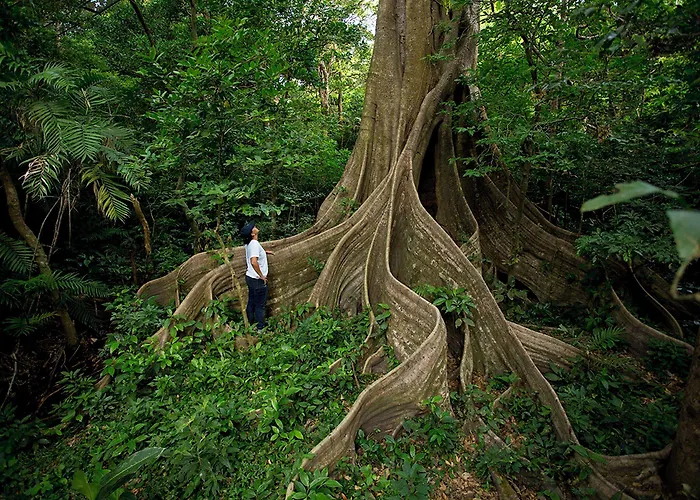 Buena Vista Del Rincon Eco Adventure Park, & 3* Curubande